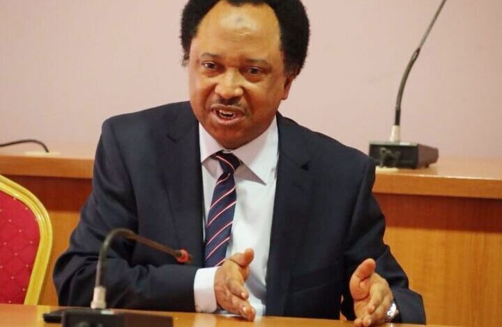 Economic hardship let’s face Garri Cup, leave Afcon Cup its Gone.. – Shehu Sani