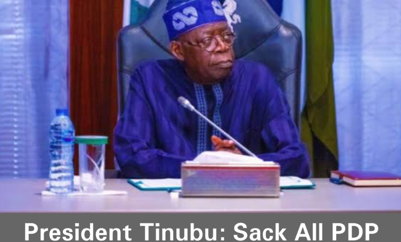 President Tinubu Sack All PDP Moles in Civil Service Tinubu declares after leaked Memos